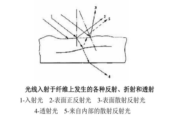 光线入射于纤维上发生的各种反射、折射和透射