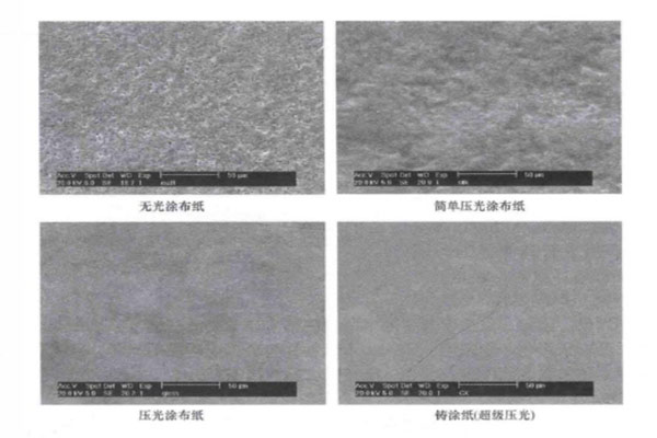 四种纸的光泽度比较